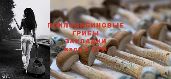 скорость Алзамай