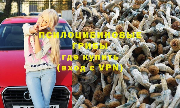 скорость Алзамай